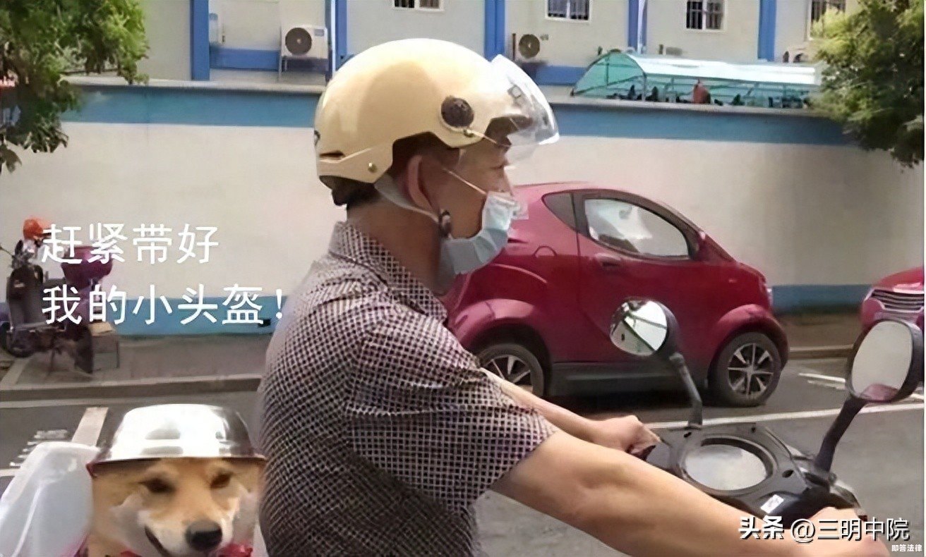 共享电动车未配备安全头盔，出了事故谁来担责？
