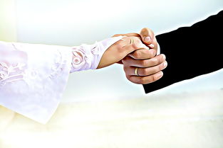 婚姻法夫妻共同财产规定（婚后共同财产法律规定）