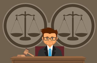 法律诉讼离婚程序怎么走（向法院诉讼离婚的程序）